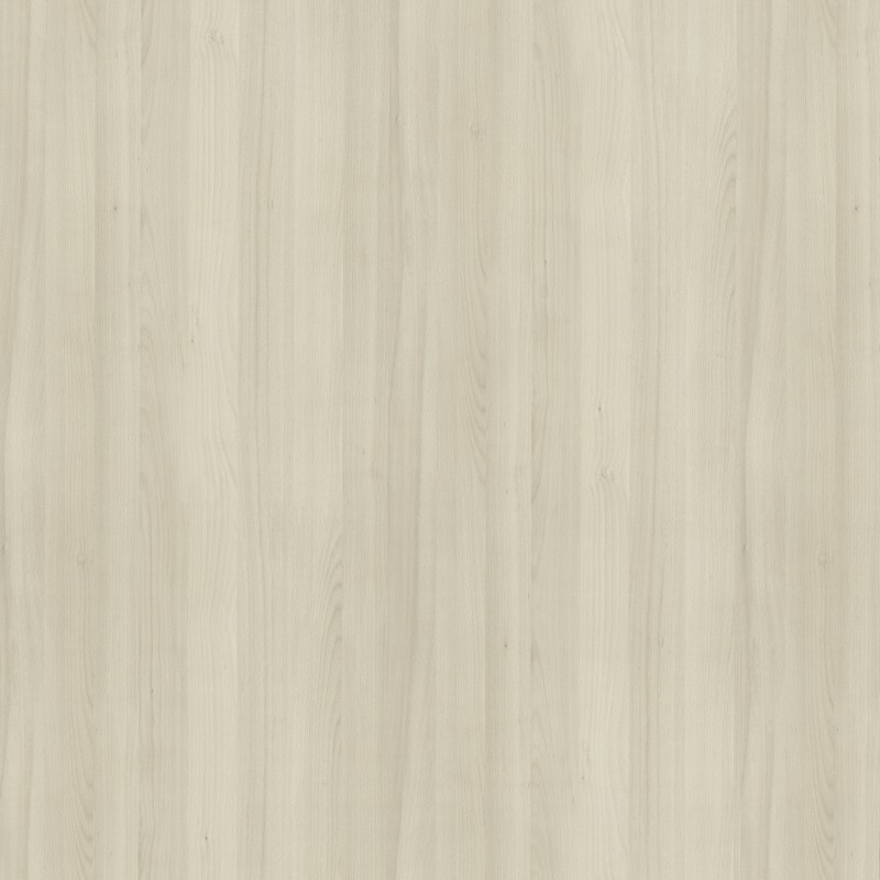Talin Beech